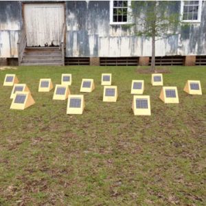 Sunnies Artfields